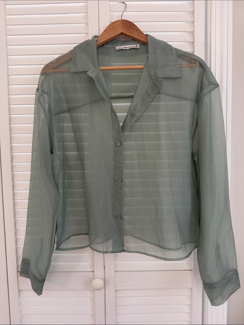 Abercrombie & Fitch Sheer Button-Front Blouse in Sage